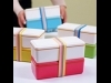 ��������ܥå�����GEL-COOL�פ˿����꡼������������2�ʼ�