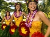 ���ڷݽѤο��ǥե���󥹸���֥ե�Ρ��ɡסݥ������åפ�